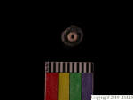 L_V22d6555 A16i8 T926 dM sh f49